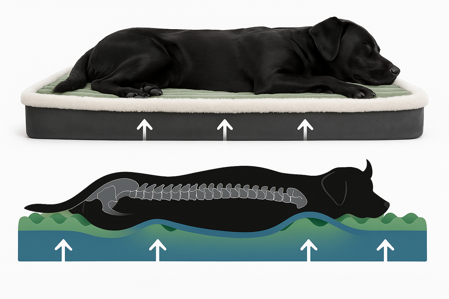 Plush Orthopedic Dog Bed