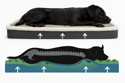 Plush Orthopedic Dog Bed